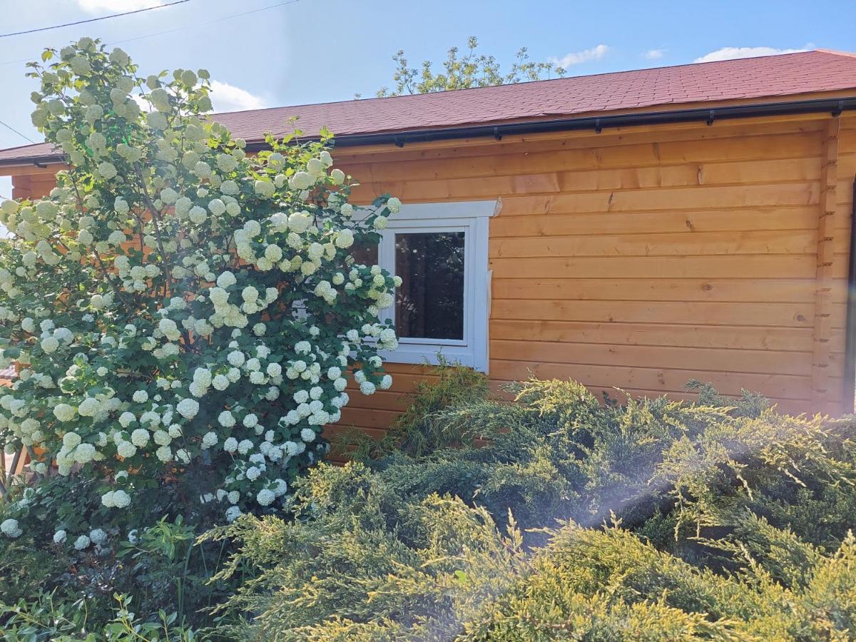 Domek Kalilla Bachowice Exterior foto